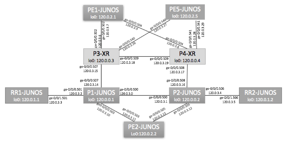 Juniper VLAN-Based EVPN Topology 