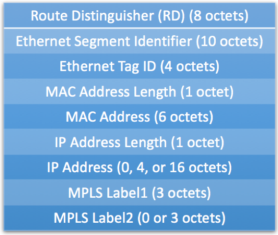 EVPN Type 2 Route