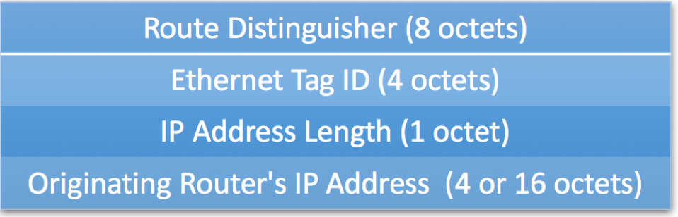 EVPN Type 3 Route