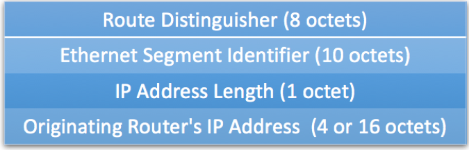 EVPN Type 3 Route Format