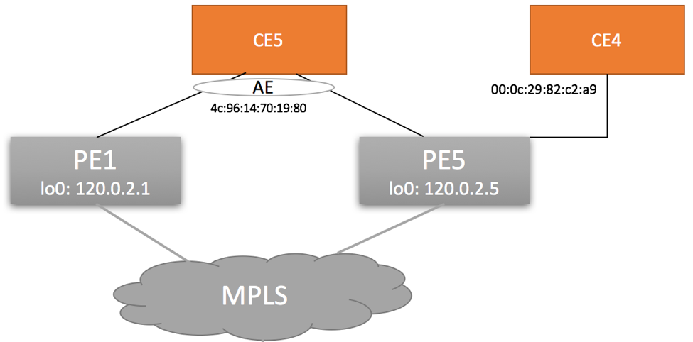 EVPN MPLS Type 1 For Topology Diagram (RFC 7432 Explained)