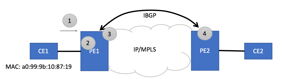 Basic EVPN Topology